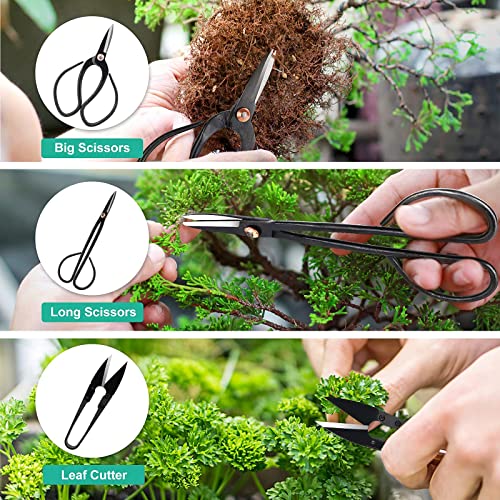 SEBIDER Bonsai Tree Kit Bonsai Tools Set Succulent Kit 16PCS Garden Hand Tool Set Include Pruning Shears, Carbon Steel Bonsai Scissors, Bonsai Starter Kit Gardening Trimming Tools