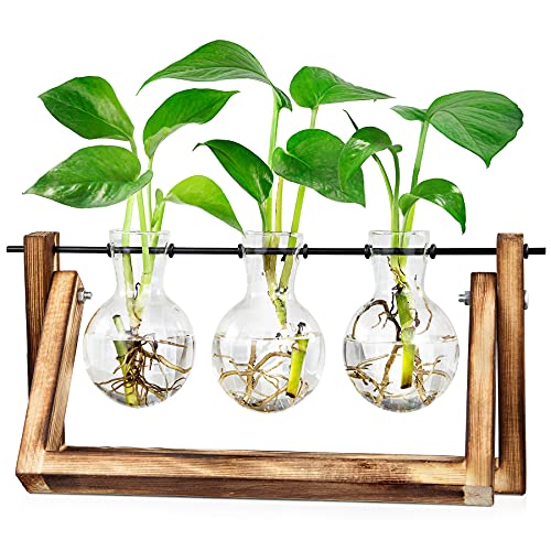 Waytoeast Plant Propagation Stations, Desktop Air Plant Terrarium with Wooden Stand Propagation Planters Glass for Hydroponics Plants Office Home Gardening Gifts for Women - 3 Bulb Vase