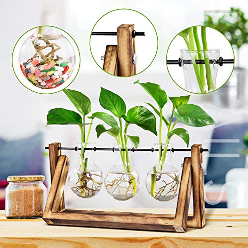Waytoeast Plant Propagation Stations, Desktop Air Plant Terrarium with Wooden Stand Propagation Planters Glass for Hydroponics Plants Office Home Gardening Gifts for Women - 3 Bulb Vase
