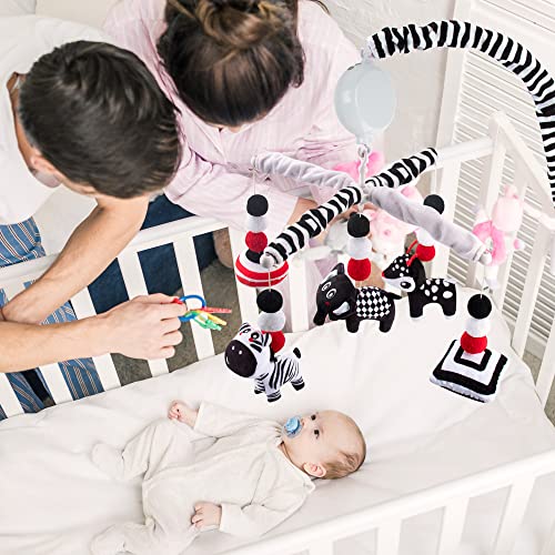 teytoy My First Baby Crib Mobile, Black and White Baby Mobile for Crib, High Contrast Mobile Toy for Newborn Infants Boys and Girls