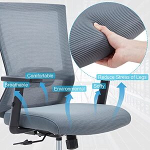 Farini Office Chair, Mid-Back Ergonomic Mesh Chair Executive Swivel Desk Chair with Lumbar Support Adjustable Height Arm (Grey)