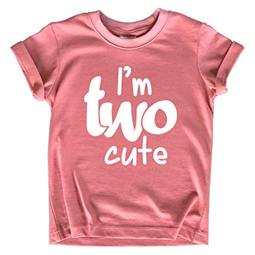 2nd Birthday Outfits for Toddler Girls im Two Cute Shirt Girl 2 Year olds Second (Mauve, 2 Years)