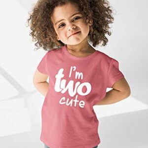 2nd Birthday Outfits for Toddler Girls im Two Cute Shirt Girl 2 Year olds Second (Mauve, 2 Years)