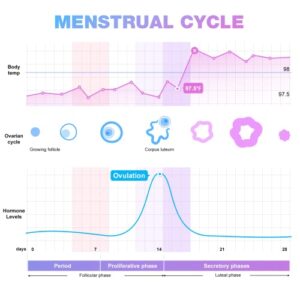 Easy@Home Ovulation Test Predictor Kit : Accurate Fertility Test for Women (Width of 5mm), Fertility Monitor Test Strips, 50 LH Strips