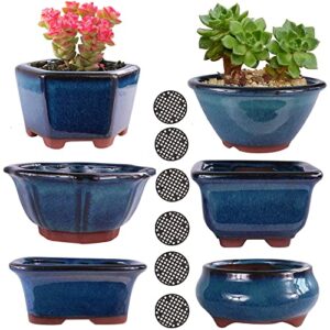 muzhi 6pack glazed bonsai pot planter 3" 4” small succulent pots, yixing zisha decorative mame bonsai training pot or small flower cactus starter growing planters containers blue