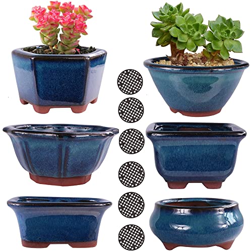 MUZHI 6PACK Glazed Bonsai Pot Planter 3" 4” Small Succulent Pots, Yixing Zisha Decorative Mame Bonsai Training Pot or Small Flower Cactus Starter Growing Planters Containers Blue