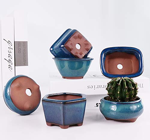 MUZHI 6PACK Glazed Bonsai Pot Planter 3" 4” Small Succulent Pots, Yixing Zisha Decorative Mame Bonsai Training Pot or Small Flower Cactus Starter Growing Planters Containers Blue