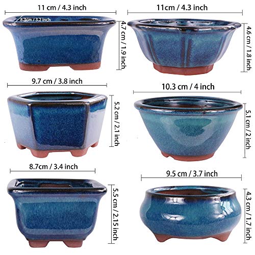 MUZHI 6PACK Glazed Bonsai Pot Planter 3" 4” Small Succulent Pots, Yixing Zisha Decorative Mame Bonsai Training Pot or Small Flower Cactus Starter Growing Planters Containers Blue