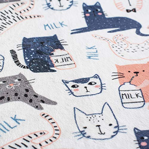 Hofasiii Unisex Boy Girl Lightweight Comfortable Super Soft Plush Minky Baby Blanket in 30’’x40’’ ,Newborn Receiving Baby Cat Blankets with Dotted Backing