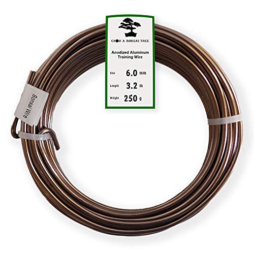 Anodized Aluminum 6.0mm Bonsai Training Wire 250g Large Roll (10.5 feet) - Choose Your Size and Color (6.0mm, Brown)