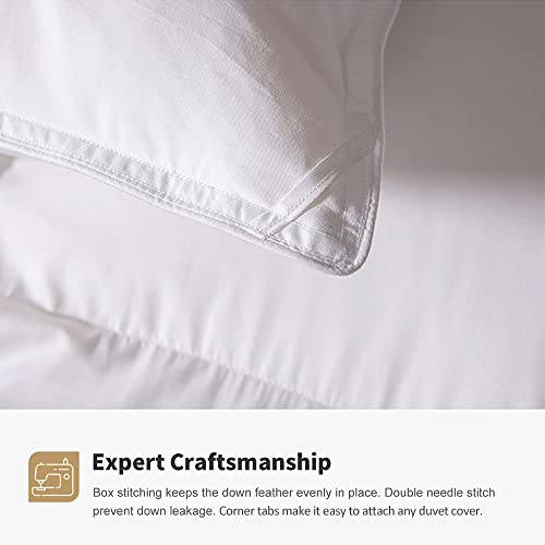 DWR Lightweight Feather Down Comforter Queen, 100% Cotton Cover, Summer Warm Weather Bed Quilt, Thin All-Season Duvet Insert for Hot Sleepers (Ivory White, 90x90)