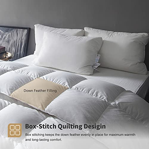 DWR Lightweight Feather Down Comforter Queen, 100% Cotton Cover, Summer Warm Weather Bed Quilt, Thin All-Season Duvet Insert for Hot Sleepers (Ivory White, 90x90)
