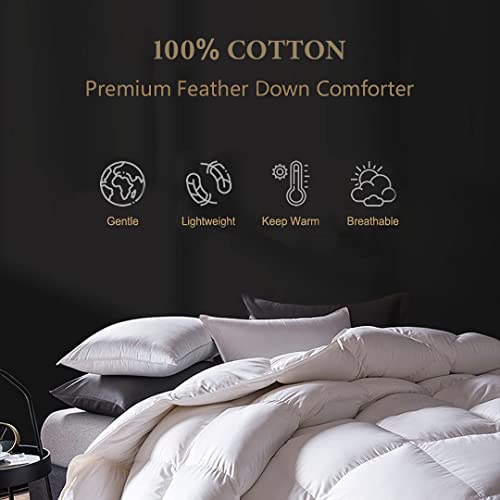 DWR Lightweight Feather Down Comforter Queen, 100% Cotton Cover, Summer Warm Weather Bed Quilt, Thin All-Season Duvet Insert for Hot Sleepers (Ivory White, 90x90)