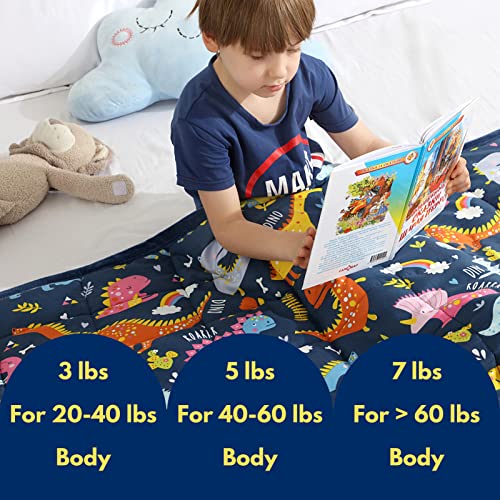 HAOWANER Minky Toddler Weighted Blanket 3lbs, Soft Baby Weighted Blanket for Toddler, Kids Weighted Blanket 3 Pounds, 3lb Weighted Blanket for Toddler, Crib Weighted Baby Blanket for Child, Dinosaur