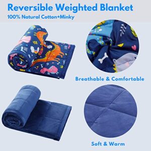 HAOWANER Minky Toddler Weighted Blanket 3lbs, Soft Baby Weighted Blanket for Toddler, Kids Weighted Blanket 3 Pounds, 3lb Weighted Blanket for Toddler, Crib Weighted Baby Blanket for Child, Dinosaur