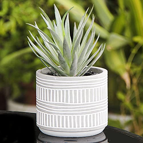 8 Inch Artificial Plants in Pot, Realistic Faux Plant Decor, Artificial Succulent Plant Decor, Fake Potted Plants for Bedroom Office Bookshelf Decor