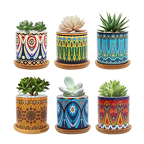 Warmplus Succulent Pots, 3 inch Mandala Planter Pot with Drainage and Bamboo Tray, Small Pots for All House Plants, Succulents, Flowers, Cactus, Pack of 6 - Plants Not Included