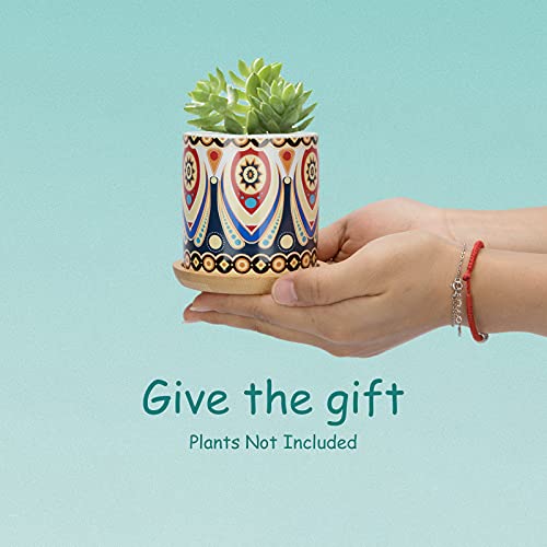 Warmplus Succulent Pots, 3 inch Mandala Planter Pot with Drainage and Bamboo Tray, Small Pots for All House Plants, Succulents, Flowers, Cactus, Pack of 6 - Plants Not Included