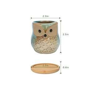 Warmplus 2.5 inch Owl Succulent Plant Pots - Mini Ceramic Planter with Drainage Hole for Mini Succulent Plants, Plants Not Included, Cute Succulent Kit 6 Pack