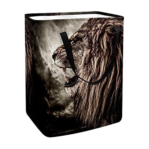 Lion Background Laundry Basket Collapsible Storage bin with Handles for Hamper,Kids Room,Toy Storage