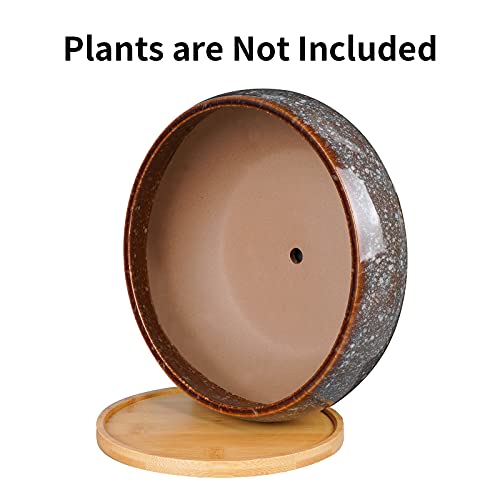 EPFamily 8 Inch Ceramic Bonsai Planter Pot, Glazed Shallow Succulent Planter with Drainage Hole and Bamboo Saucer for Indoor Plants, Brown