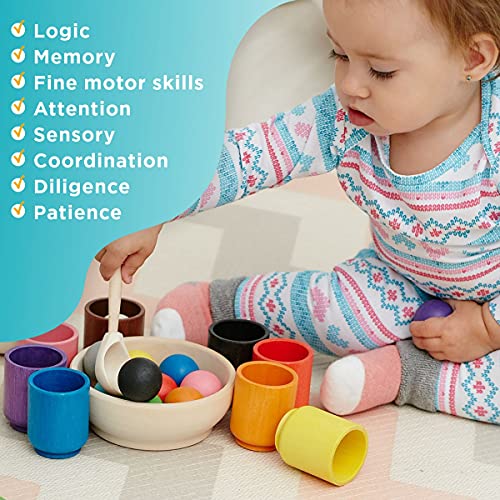 Ulanik Balls in Cups Large Montessori Toy Wooden Sorter Game 12 Balls 35 mm Age 1+ Color Sorting and Counting Preschool Learning Education