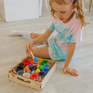 Ulanik Balls in Cups Large Montessori Toy Wooden Sorter Game 12 Balls 35 mm Age 1+ Color Sorting and Counting Preschool Learning Education