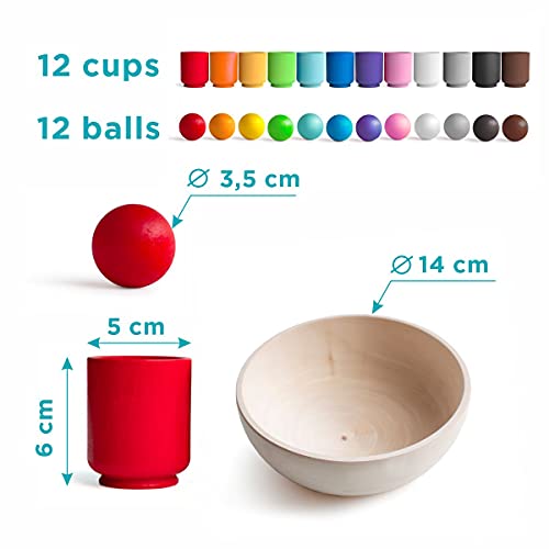 Ulanik Balls in Cups Large Montessori Toy Wooden Sorter Game 12 Balls 35 mm Age 1+ Color Sorting and Counting Preschool Learning Education