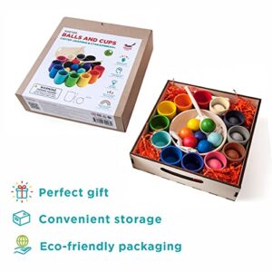 Ulanik Balls in Cups Large Montessori Toy Wooden Sorter Game 12 Balls 35 mm Age 1+ Color Sorting and Counting Preschool Learning Education