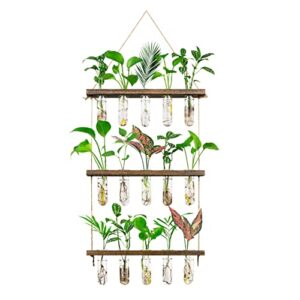 monsiter qe 3 tier large propagation stations wall hanging plant terrarium with wooden stand, retro propagation test tube for hydroponic plants cutting flower, propagator home office patio decor-brown