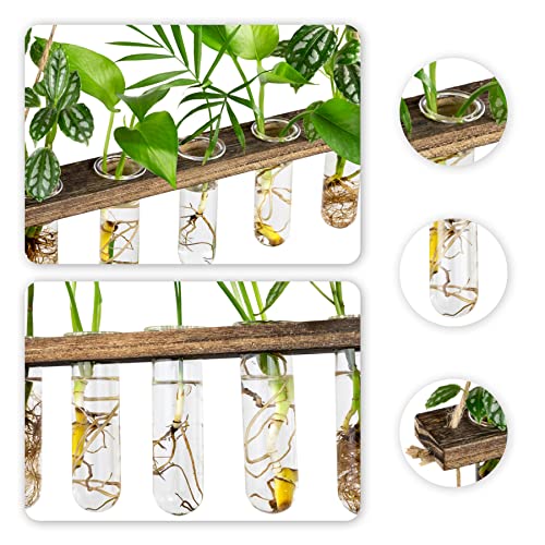 Monsiter QE 3 Tier Large Propagation Stations Wall Hanging Plant Terrarium with Wooden Stand, Retro Propagation Test Tube for Hydroponic Plants Cutting Flower, Propagator Home Office Patio Decor-Brown