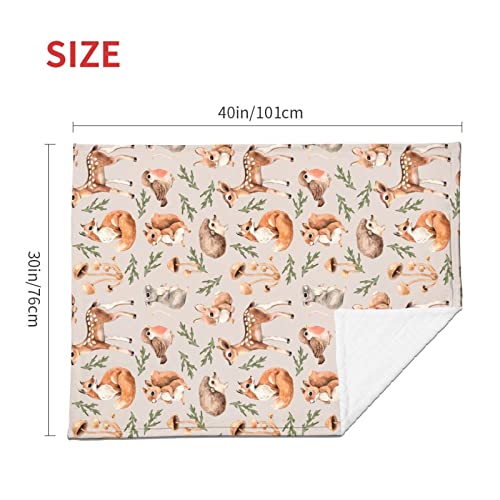 Duduho Cute Forest Animals Baby Blankets Soft Warm Fuzzy Plush Squirrel Mouse Fawn Fox Hare Hedgehog Bird Bed Throw Blanket for Newborn Infant Toddler Girls Boys Kids, 30"x40"