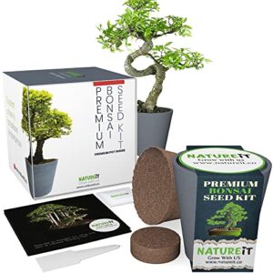 bonsai tree seed starter kit. bonsai pot included. indoor & outdoor diy beginners easy grow craft & hobby gardening set for women & men of all ages. unusual housewarming gift for plant lovers