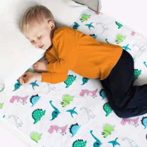 hygge sheets potty training pads - 100% waterproof - bed wetting pads for twin and toddler beds - reusable, non slip and easy to change at night - includes free children's e-book - dinosaur