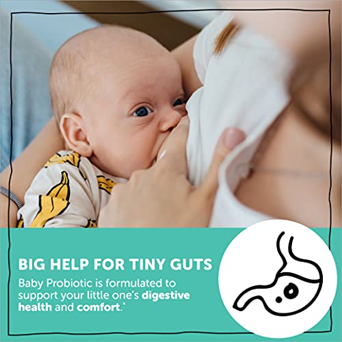 SmartyPants Baby Probiotic Drops: Probiotics for Digestive Health + Comfort & Immune Support, & DHA Vegan Liquid Drops for Babies (0-24 Months), Pediatrician Tested, 1.6 Billion CFU - 30 Day Supply
