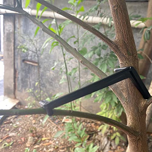 50Pieces Fruit Tree Branch Limb Spreader for Strong Spreading Crotch Angles Branches,Plastic Bonsai Branch Trunk Spreaders Modelling Tool Black