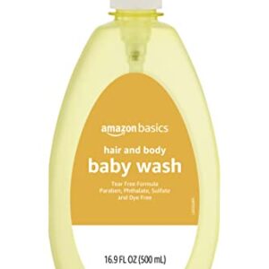 Amazon Basics Tear-Free Baby Hair and Body Wash, 16.9 Fluid Ounce, 1-Pack (Previously Solimo)