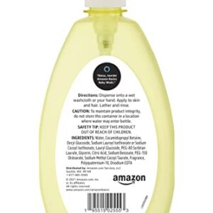 Amazon Basics Tear-Free Baby Hair and Body Wash, 16.9 Fluid Ounce, 1-Pack (Previously Solimo)