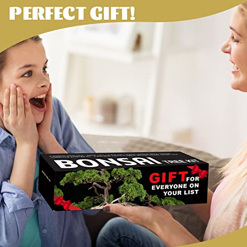 Meekear 5 Bonsai Tree Seeds with Complete Growing Kit & Wooden Flower Box Starter Kit, Great Potted Growing DIY Gift for Adults