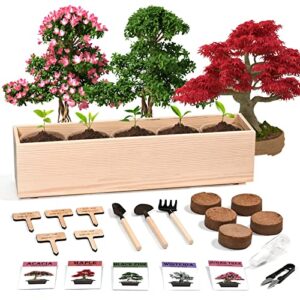 meekear 5 bonsai tree seeds with complete growing kit & wooden flower box starter kit, great potted growing diy gift for adults