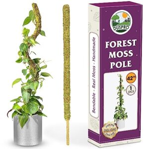 duspro 42 inch tall moss pole for plant monstera bendable plant stakes, sphagnum real forest moss stick, handmade potted plants support/trellis perfect for big climbing plants indoor (large size)