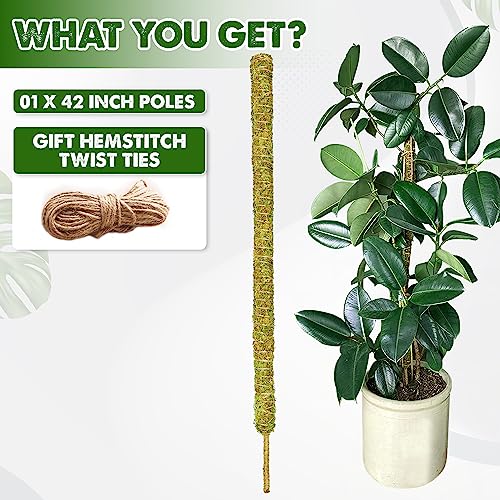 DUSPRO 42 Inch Tall Moss Pole for Plant Monstera Bendable Plant Stakes, Sphagnum Real Forest Moss Stick, Handmade Potted Plants Support/Trellis Perfect for Big Climbing Plants Indoor (Large Size)