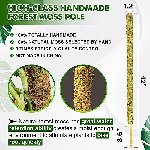 DUSPRO 42 Inch Tall Moss Pole for Plant Monstera Bendable Plant Stakes, Sphagnum Real Forest Moss Stick, Handmade Potted Plants Support/Trellis Perfect for Big Climbing Plants Indoor (Large Size)