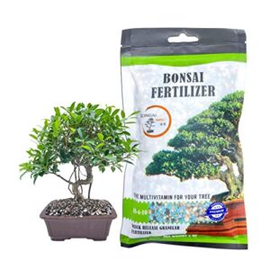 bonsai fertilizer| all purpose| quick results |micro nutrients vital for bonsai health| the bonsai supply (all purpose fertilizer 5 oz)