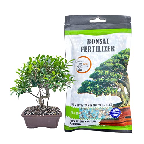 Bonsai Fertilizer| All Purpose| Quick Results |Micro Nutrients Vital for Bonsai Health| The Bonsai Supply (All Purpose Fertilizer 5 oz)