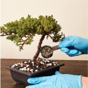 Bonsai Fertilizer| All Purpose| Quick Results |Micro Nutrients Vital for Bonsai Health| The Bonsai Supply (All Purpose Fertilizer 5 oz)