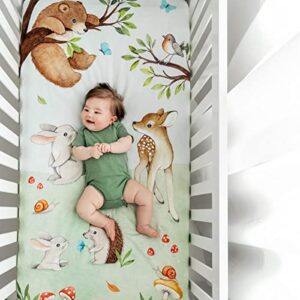 Rookie Humans 100% Cotton Sateen Fitted Crib Sheet: Enchanted Forest. Modern Nursery, Use as a Photo Background for Your Baby Pictures. Standard Crib Size (52 x 28 inches) Woodland Theme