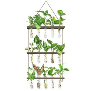 xxxflower wall hanging propagation station with wooden stand 5 glass test tubes 3 tiered planters wall terrarium for home office plant hanger flower vases wall decor hydroponic cuttings