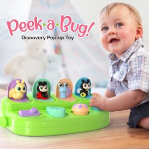 Pop Up Cause and Effect Toy - Toys for 9 Month Old +, Baby Toys, Early Developmental Toddler & Kids Gift - Toys for 1 Year Old Boy & Girl, Birthday, Montessori 12 Months to 1 2 3 Years