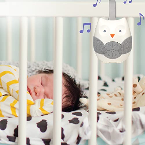 FirstHealth Soothing Sounds Baby Lullaby Sound Machine Speaker with 12 Sounds- Customizable Timer - Fun and Cute Owl Design - Hanging Loop - Stroller, Carrier, Crib, Car Seat